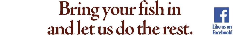 bring-your-fish-in-and-let-us-do-the-rest